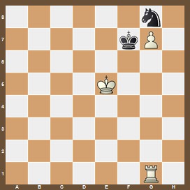 fen:6n1/5kP1/8/4K3/8/8/8/6R1 b - - 0 1 v;